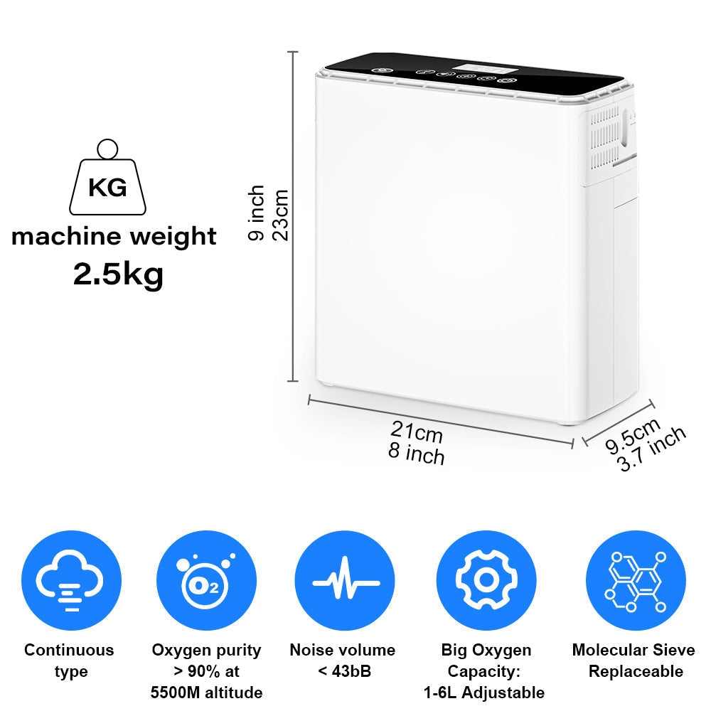 2023 Dropshipping AC/DC Oxygen-Concentrator 1-6l Adjust Mini Home Travel Portable Oxygene Concentrator With Charge Battery - SJ-OX1C
