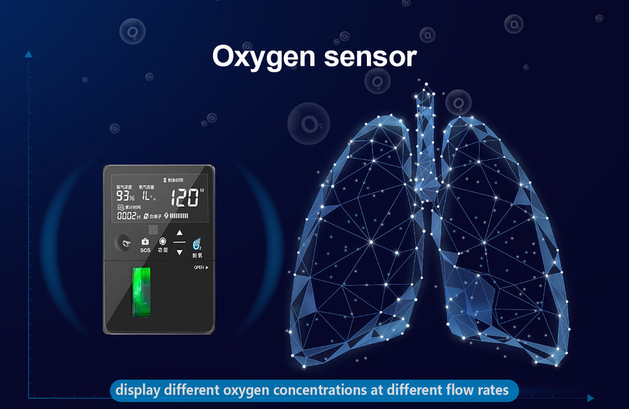 Home Use 6L Remote Control Oxygen Concentrator | 2-6L Adjustable ...
