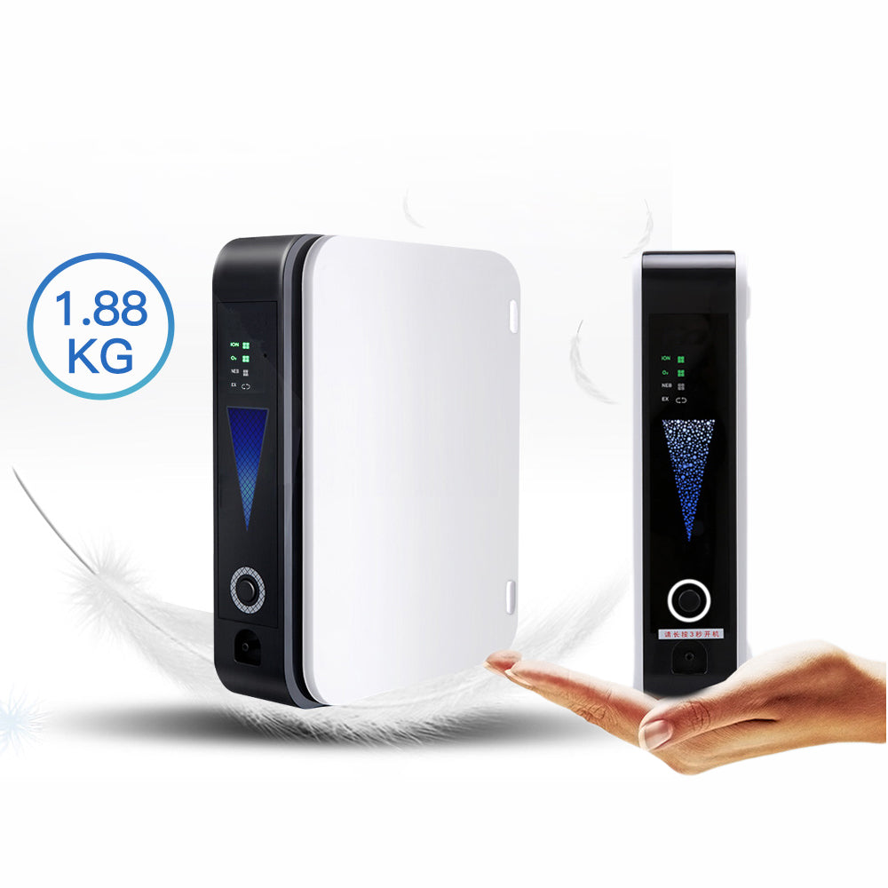 Small Portable Oxygen Concentrator | Travel Use | Continuous Flow 1L ...