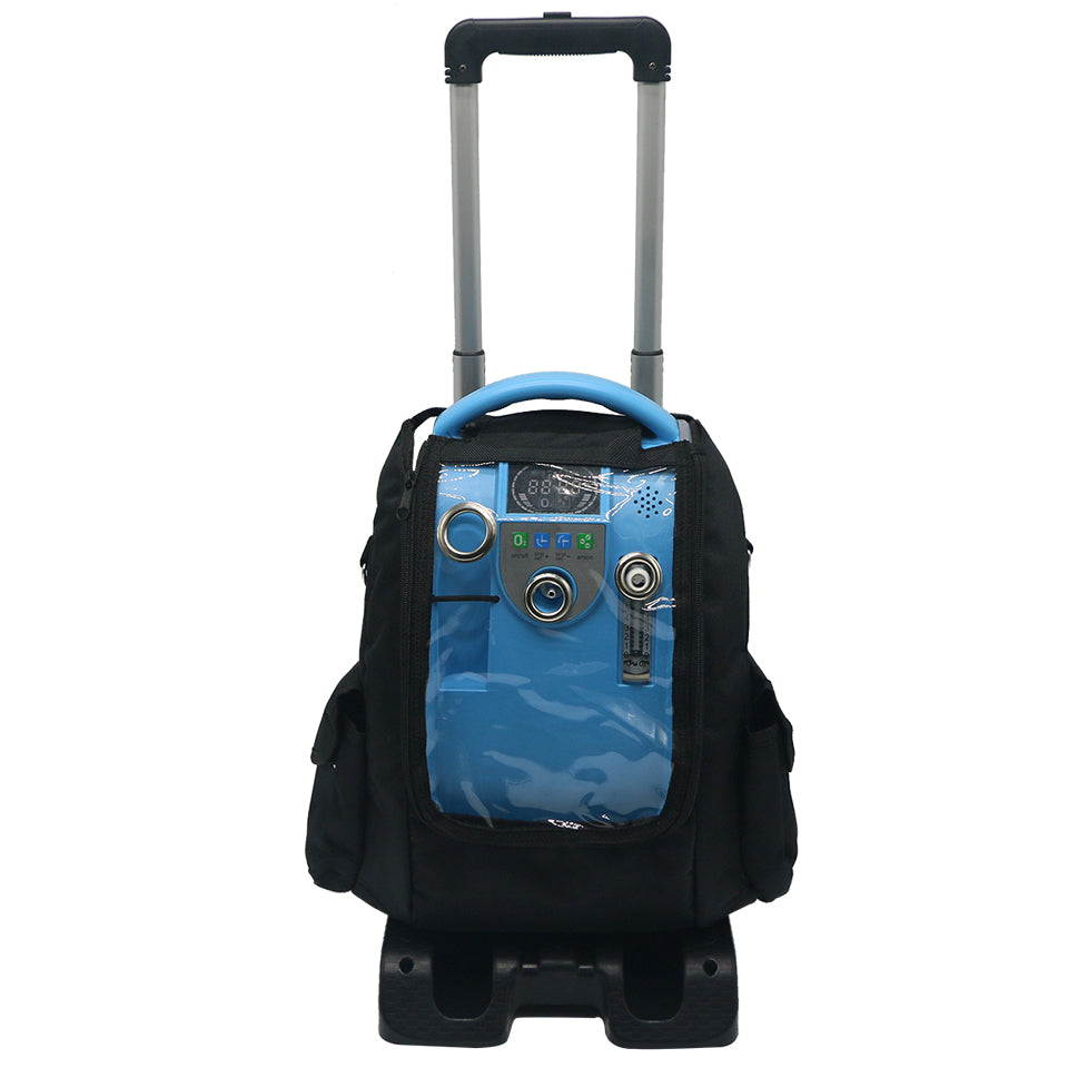 Portable Oxygen Concentrator With Battery Back Up POC-05